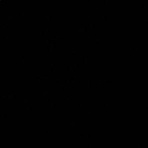 Meet your Posher, Leo